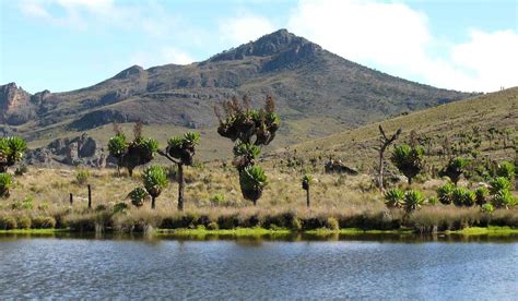 Mount Elgon - Traverse Afrika