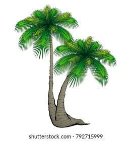 Cartoon Palm Tree Stock Vector (Royalty Free) 792715999 | Shutterstock