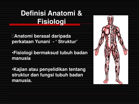 Materi Dasar Anatomi Fisiologi Manusia - Homecare24