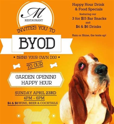 BYOD Happy Hour at M Restaurant - Little Dog | Big Philly