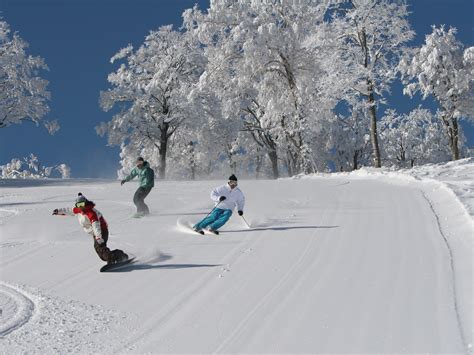 Japan Ski Season Dates for 2024 & 2025 | travel&co