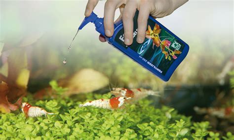 10 Best Aquarium Plant Fertilizer for 2024 | Storables