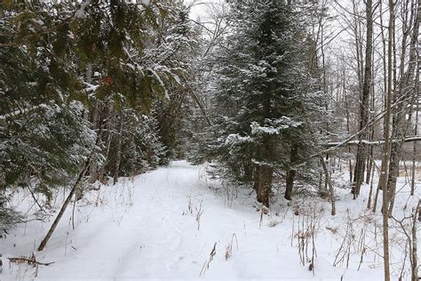 Vermont Winter Scenery 3 Photograph by Wayne Toutaint