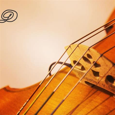 Basic & custom bowed instruments for everyone! From classic to electric, acoustic to solid, one ...