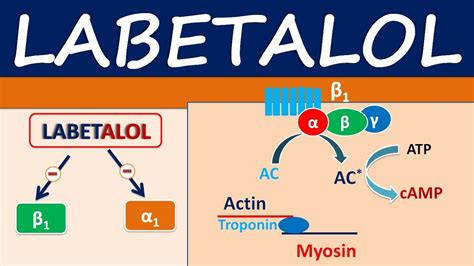 Labetalol - An alpha and beta blocker for hypertension - YouTube