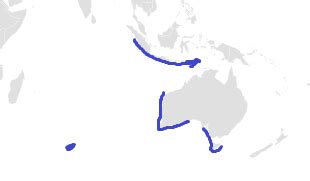 File:Western Gulper Shark Range.png - Wikimedia Commons