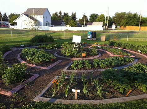 -wheelbarrowgardener | Garden design layout landscaping, Backyard ...