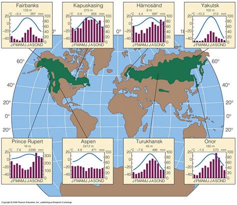 Taiga's climate chart - Taiga