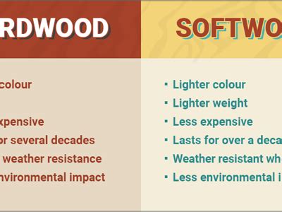 Hardwood vs Softwood by Sam Burgon on Dribbble