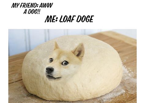 Loaf You Meme at Joan Wright blog