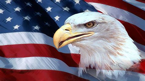 American Flag Eagle Background Wallpaper - Mbagusi.com | American flag wallpaper, Eagle images ...