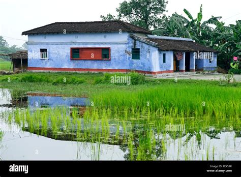 House , Heritage village life , Vaishali to Kesariya , Bihar , India ...