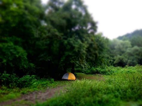 Camping in the Hoia Baciu Haunted Forest | Two Small Potatoes