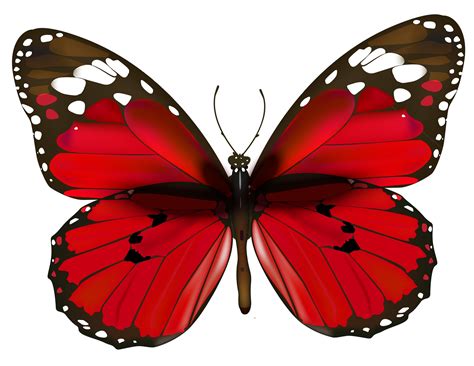 Toddler clipart butterfly, Picture #2137825 toddler clipart butterfly