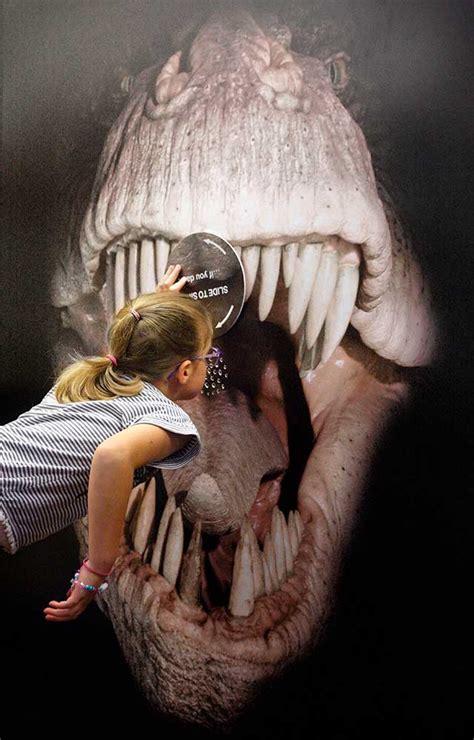 Interactive exhibitions at The Dinosaur Museum - Best of Dorset Attractions