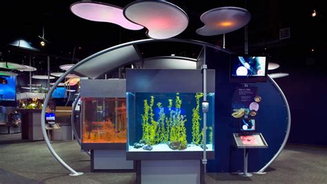 Exploration Gallery at Vancouver Aquarium