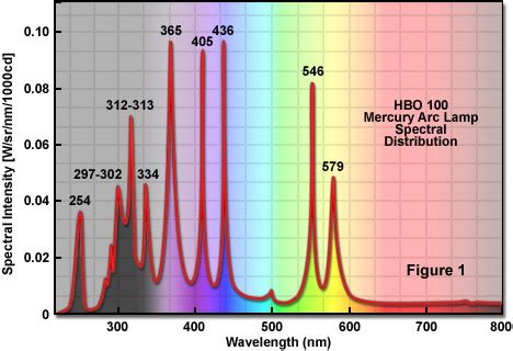 ZEISS Microscopy Online Campus | Mercury Arc Lamps