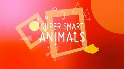 Super Smart Animals (2012) | Watch Free Documentaries Online