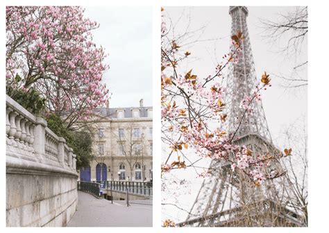 Paris in March - Photos from my last visit