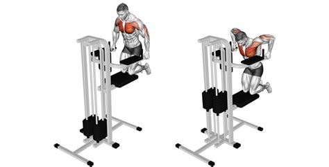 Target Your Triceps Or Chest With the Assisted Dip Machine | Member ...