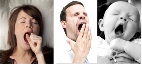 Yawning Cools Your Brain: A Detailed Study On Yawning