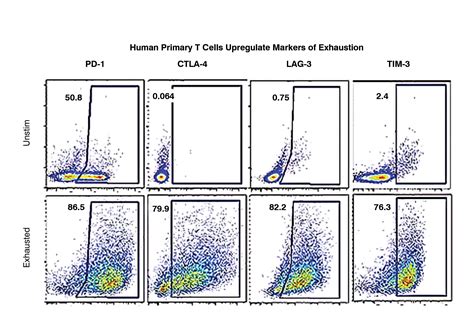 T Cell Assays | Charles River Laboratories.