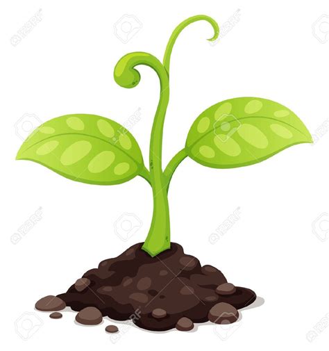 Growing Plant Animated Images - Gardening Mania