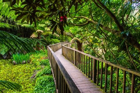 Gardens Of Heligan Cornwall | Fasci Garden