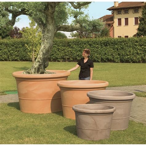 Marchioro Round Pot Planter & Reviews | Wayfair