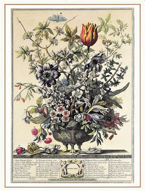 February Vintage Botanical Art Print Winterthurs 12 Months of Flowers Robert Furber Wedding ...