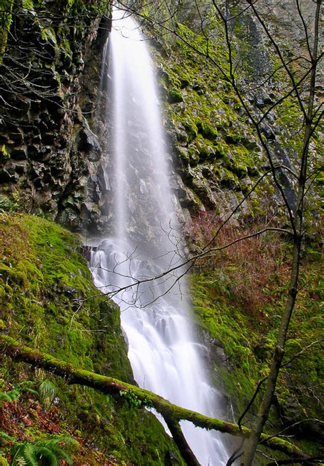 Cabin Creek Falls, Oregon, United States - World Waterfall Database