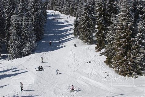 Pamporovo ski and snowboard resort in Bulgaria: holiday deals — BulgariaSki