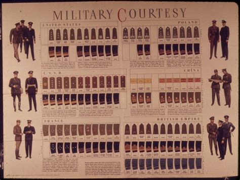 19th Century BRITISH ARMY Ranks - EXPLORE Hierarchy