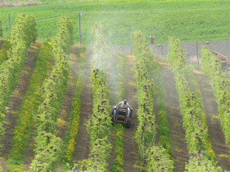 Towards an Indigenous Agriculture: Land Reform for British Columbia ...