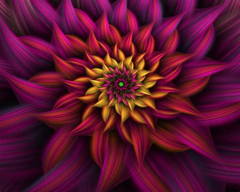 Spiral Flower 9 by johnnybg on DeviantArt