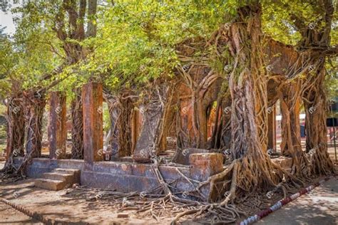 Ancient Building Ruins At Ross Island Andaman India | India Stock Photo