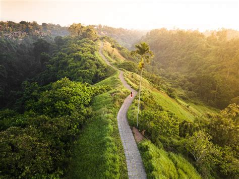 The Campuhan Ridge Walk in Ubud – A Complete Guide | Omnivagant | FyzGY