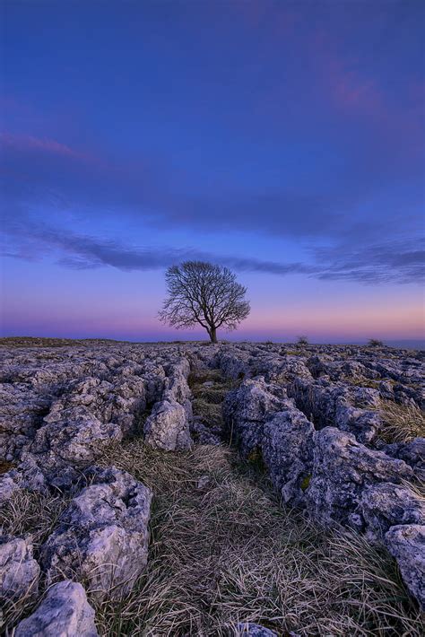 Gray rocks during golden hour, HD phone wallpaper | Peakpx