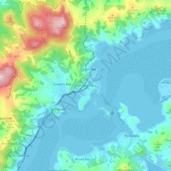 Port Chalmers topographic map, elevation, relief