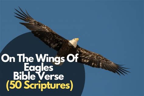 50 Best Bible Verse On The Wings Of Eagles – Bible Verses of the day