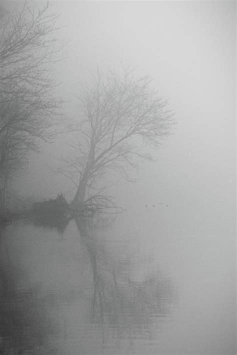 Spooky Foggy Reflection Photograph by Selena Lorraine