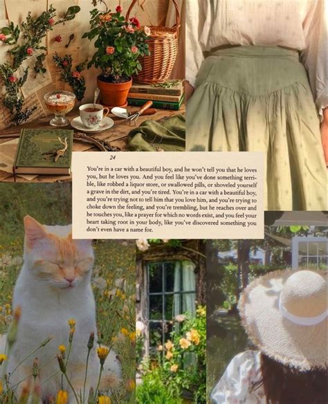 there is a collage of pictures with cats and flowers in them, including an image of a cat ...