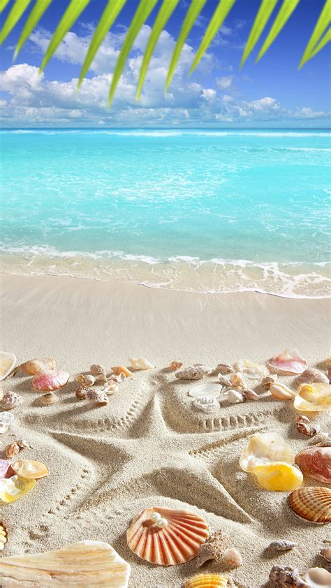 Beach, nature, sand, shells, starfish, summer, tropical, HD phone ...