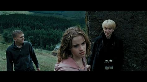 Hermione Granger Punches Draco Malfoy