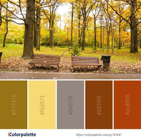 Autumn Color Palette Inspiration