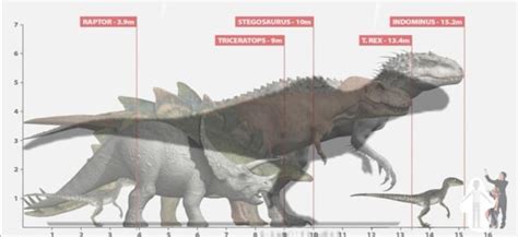 Giganotosaurus Size