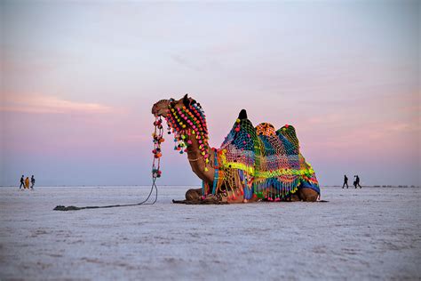 Great Rann of Kutch