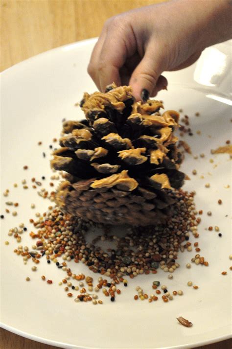 Pine Cone Bird Feeder - Kids Activities | Saving Money | Home ...