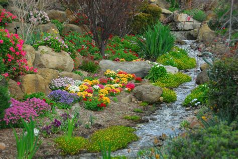 Rock Garden — Stock Photo © PhillipMinnis #5933396