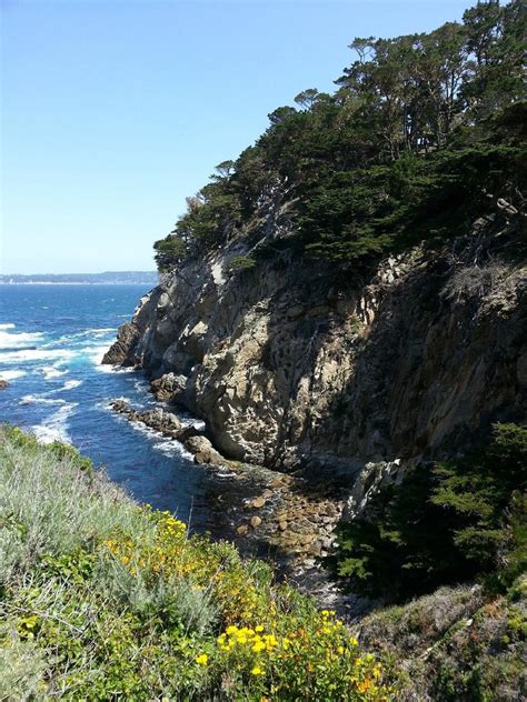 Point Lobos Walking Tours | Point Lobos State Reserve, California | California Legacy Tours